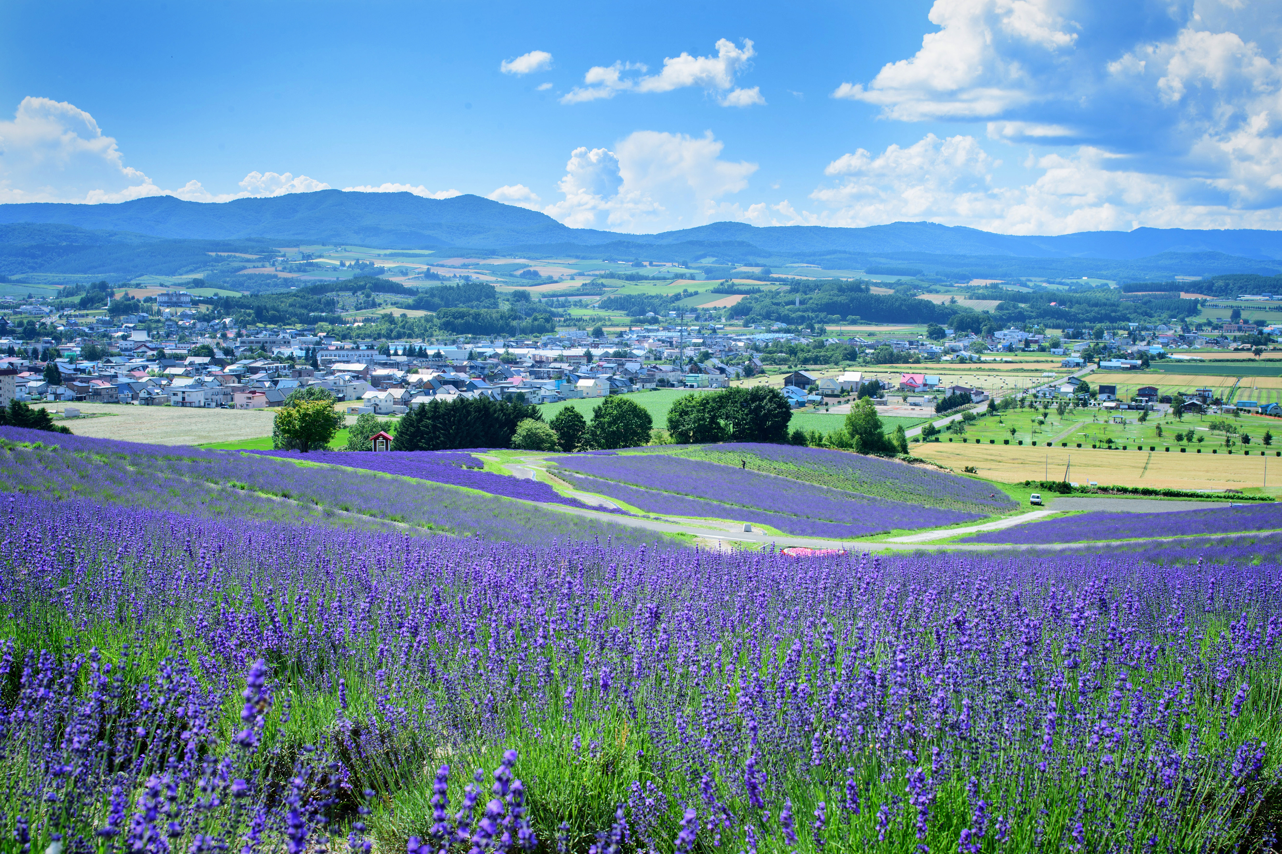 Summer landscape around Furano and Biei Hokkaido