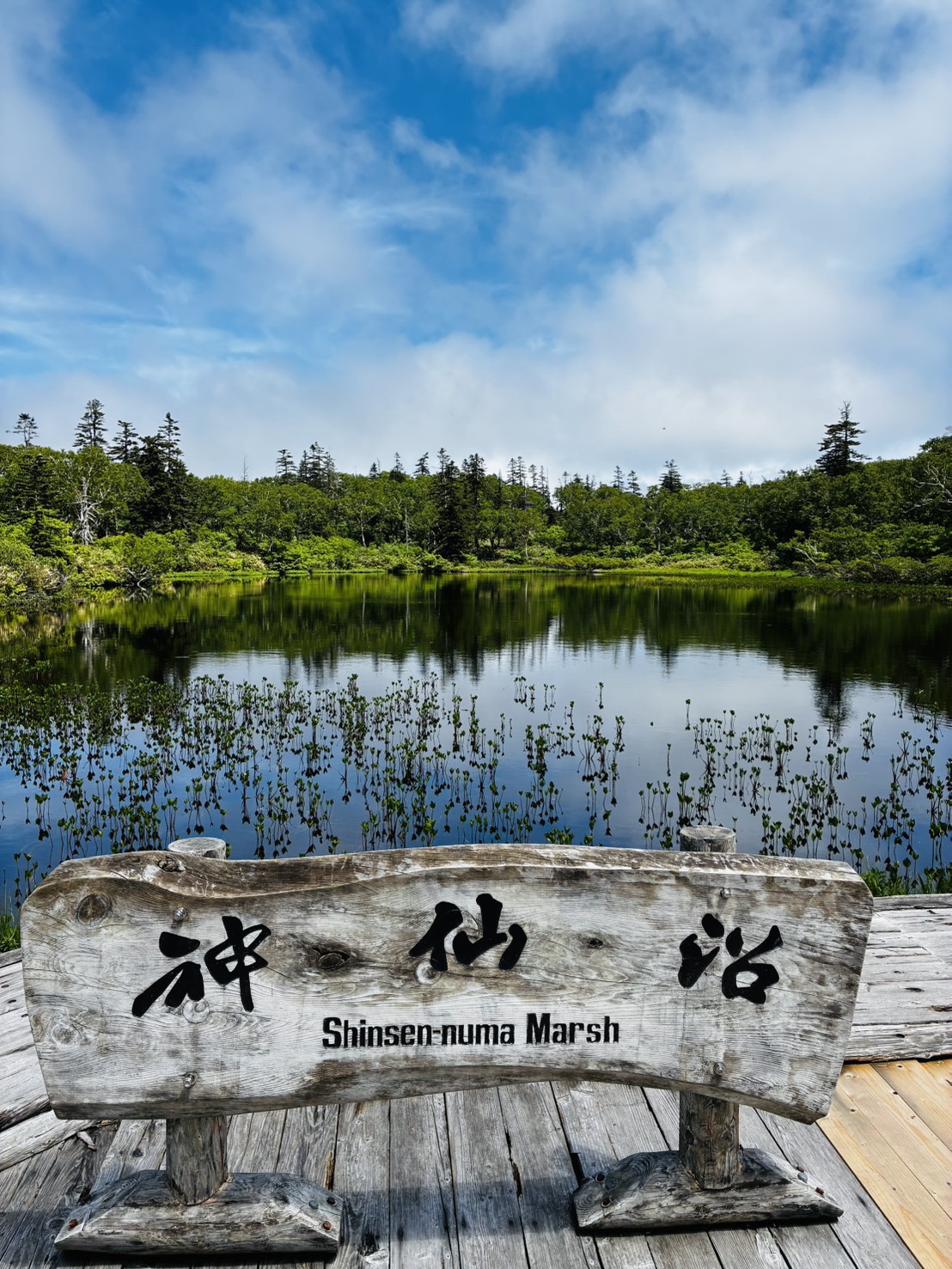 shinsennuma
