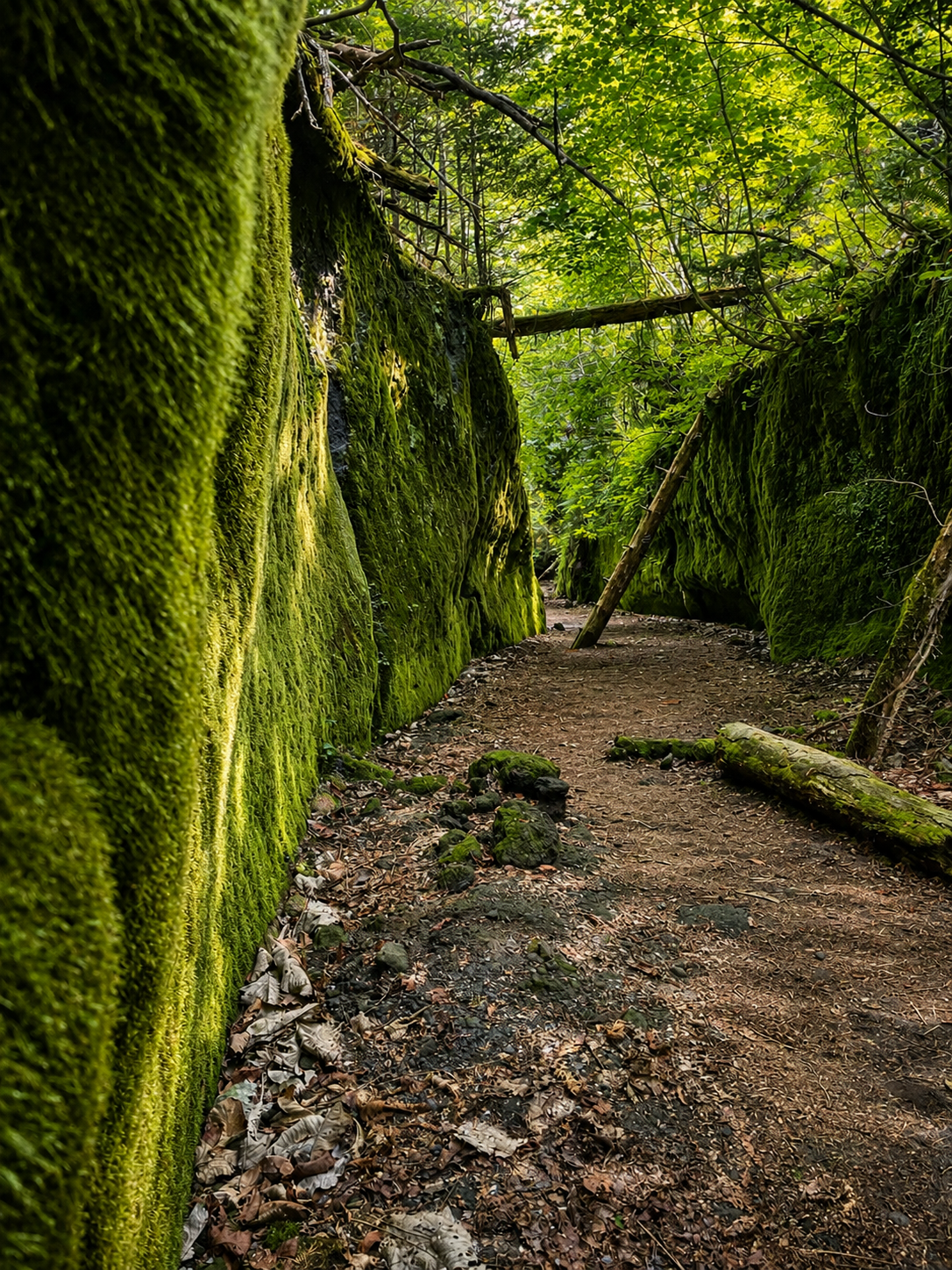 Nature